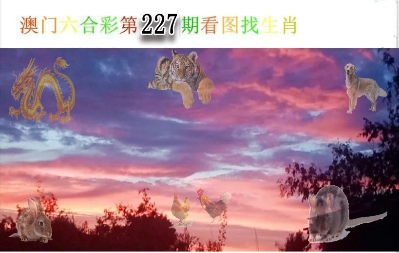 看图找生肖-227