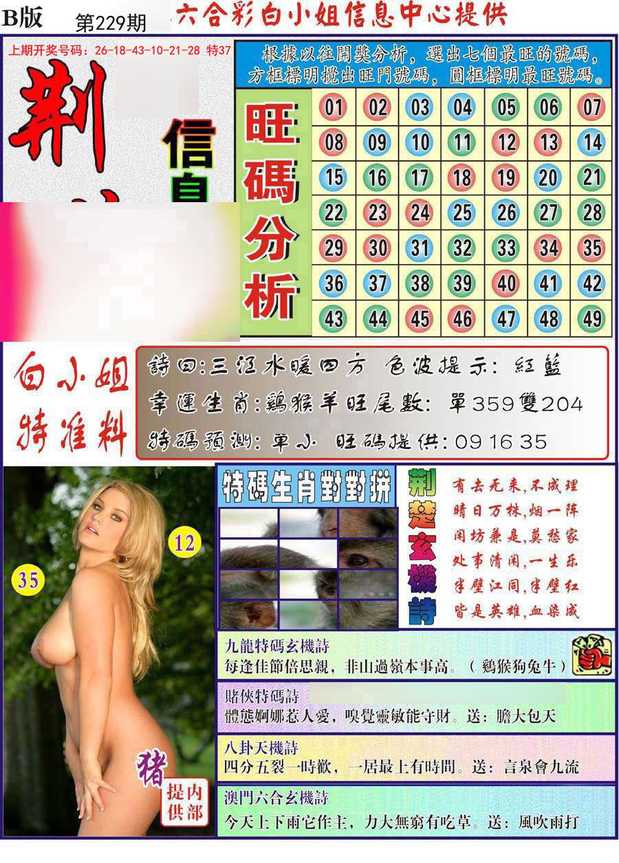 荆楚信息玄机B-229