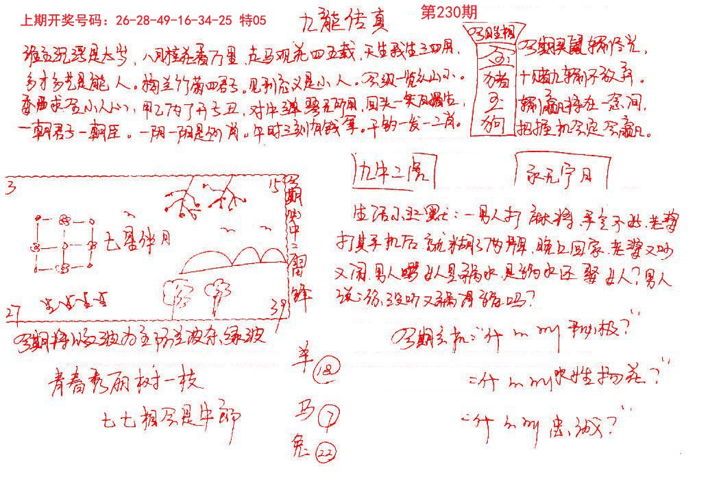 手写九龙内幕-230