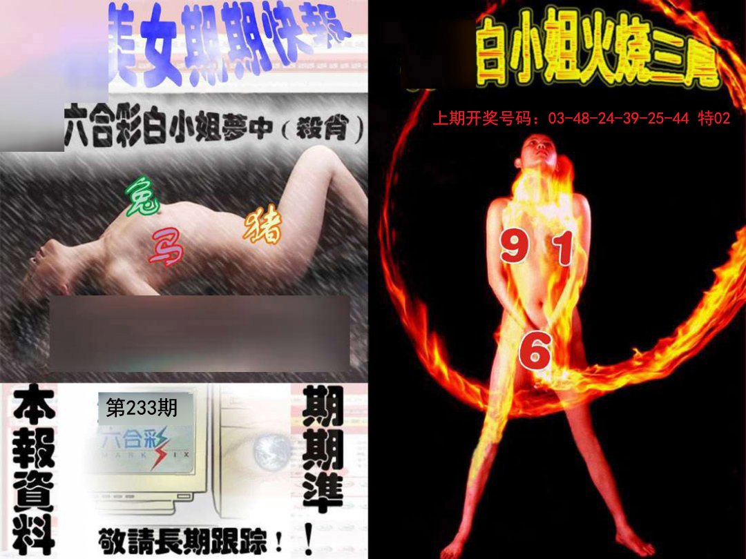 环球美女特码报-233