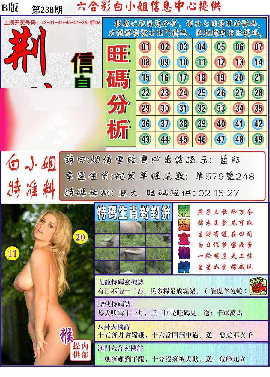 荆楚信息玄机B-238