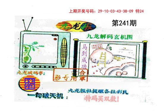 九龙报-241