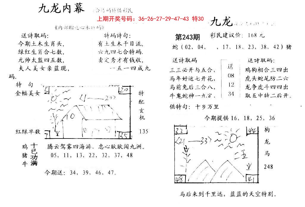 九龙内幕-243