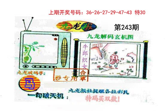 九龙报-243