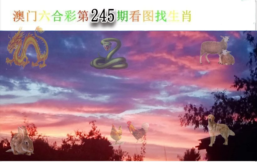 看图找生肖-245