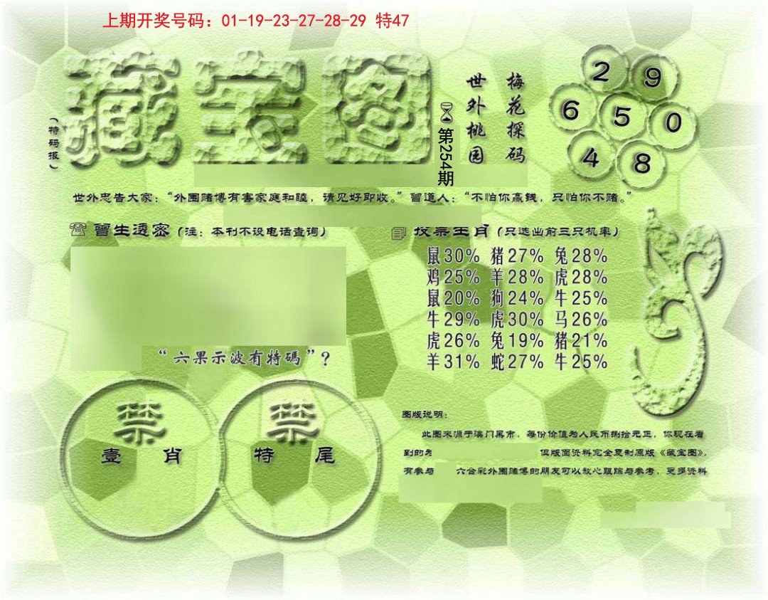 假老藏宝图-254