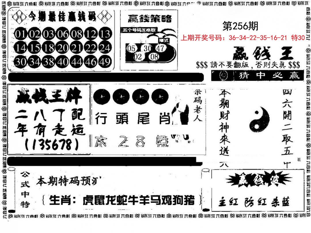 赢钱料-256