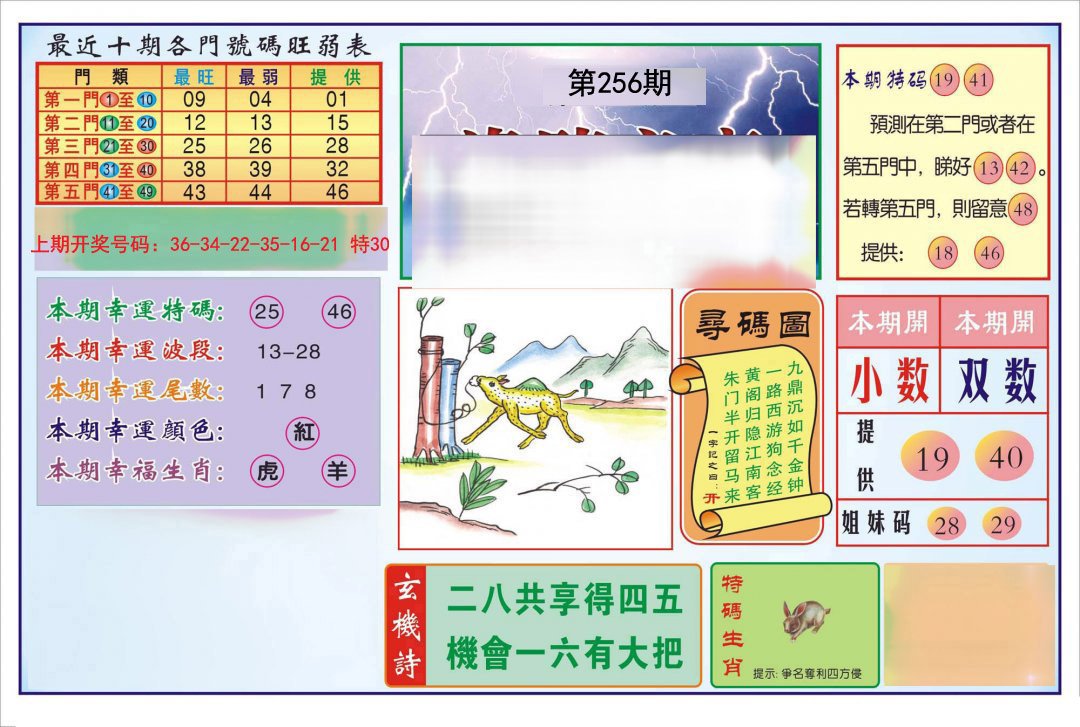 逢赌必羸-256