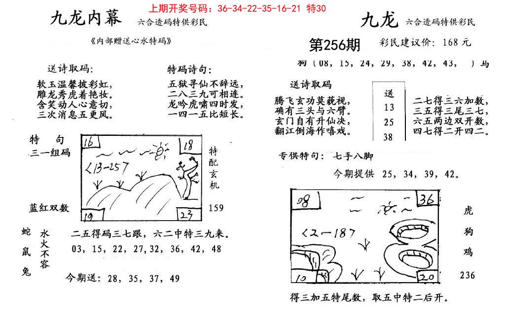 九龙内幕-256