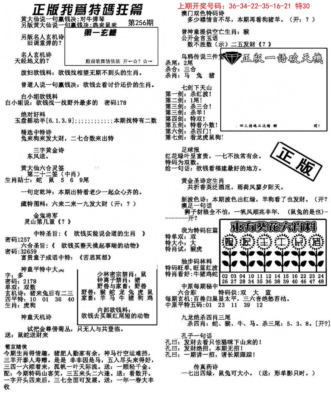 我为特码狂篇-256