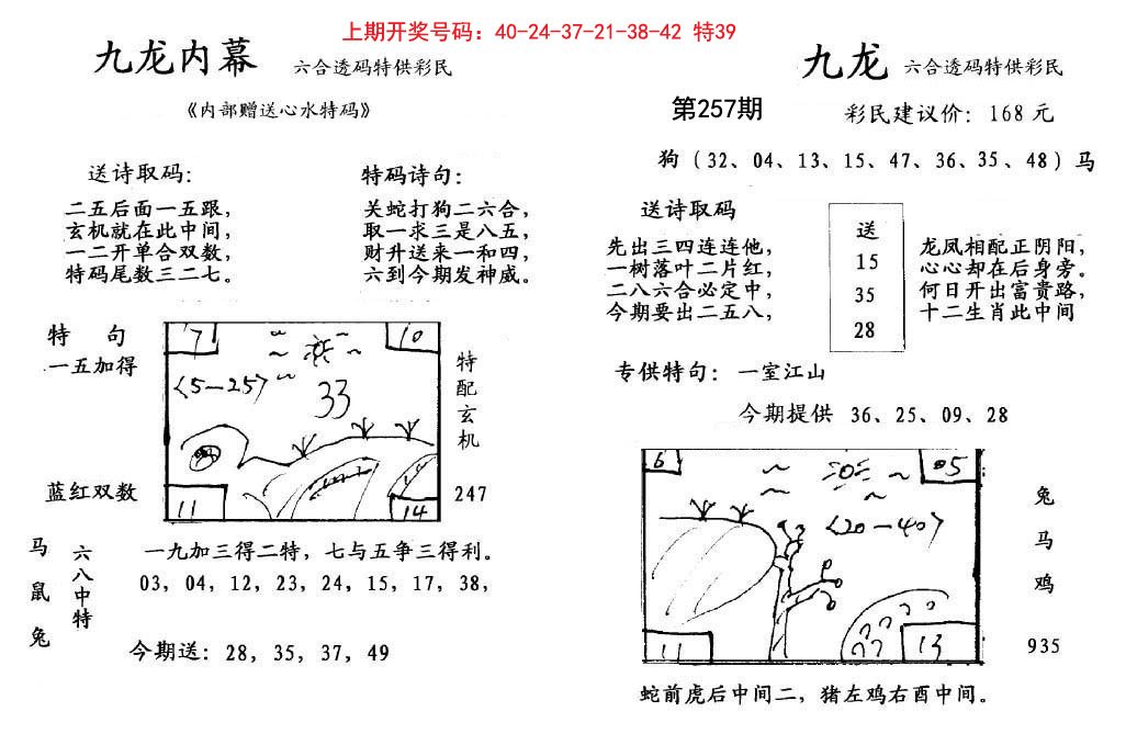 九龙内幕-257