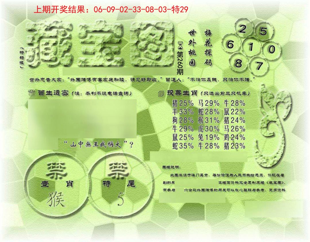 假老藏宝图-260