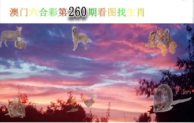 看图找生肖-260