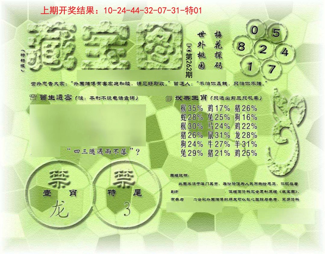 假老藏宝图-262