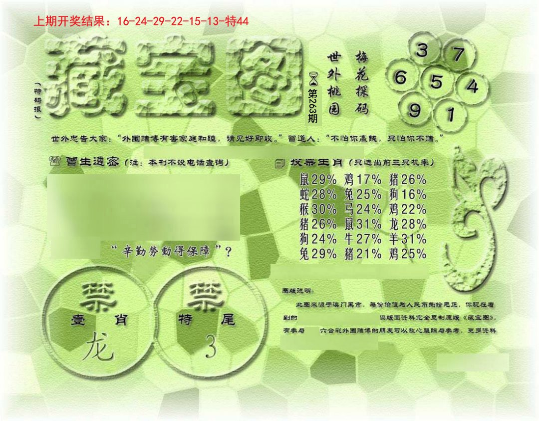 假老藏宝图-263