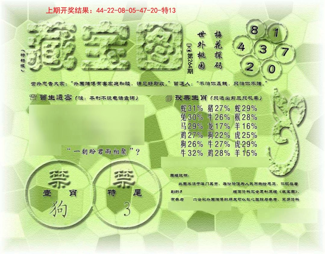 假老藏宝图-264