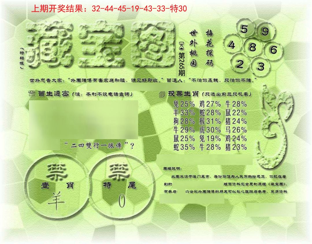 假老藏宝图-265