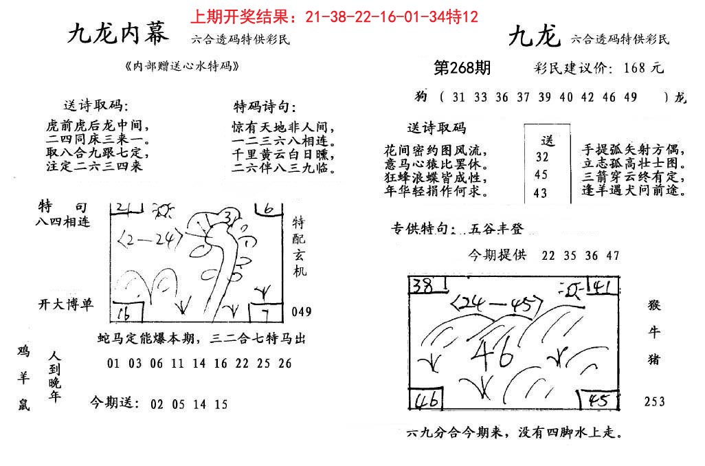 九龙内幕-268