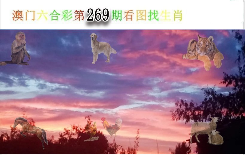 看图找生肖-269