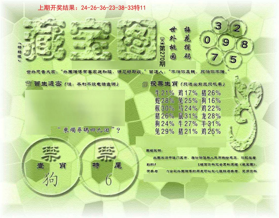 假老藏宝图-270