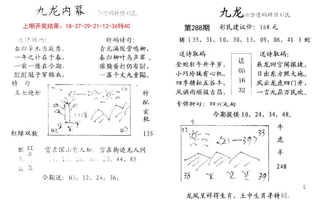 九龙内幕-288