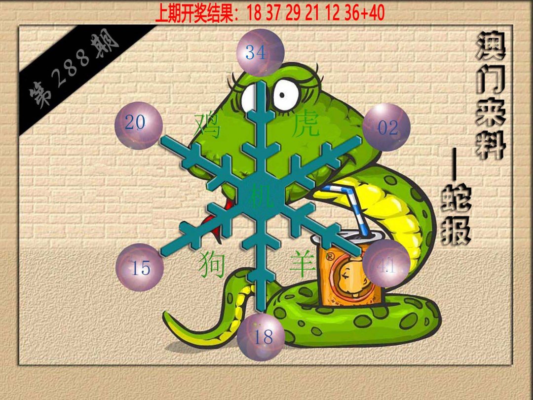 (来料)蛇报-288