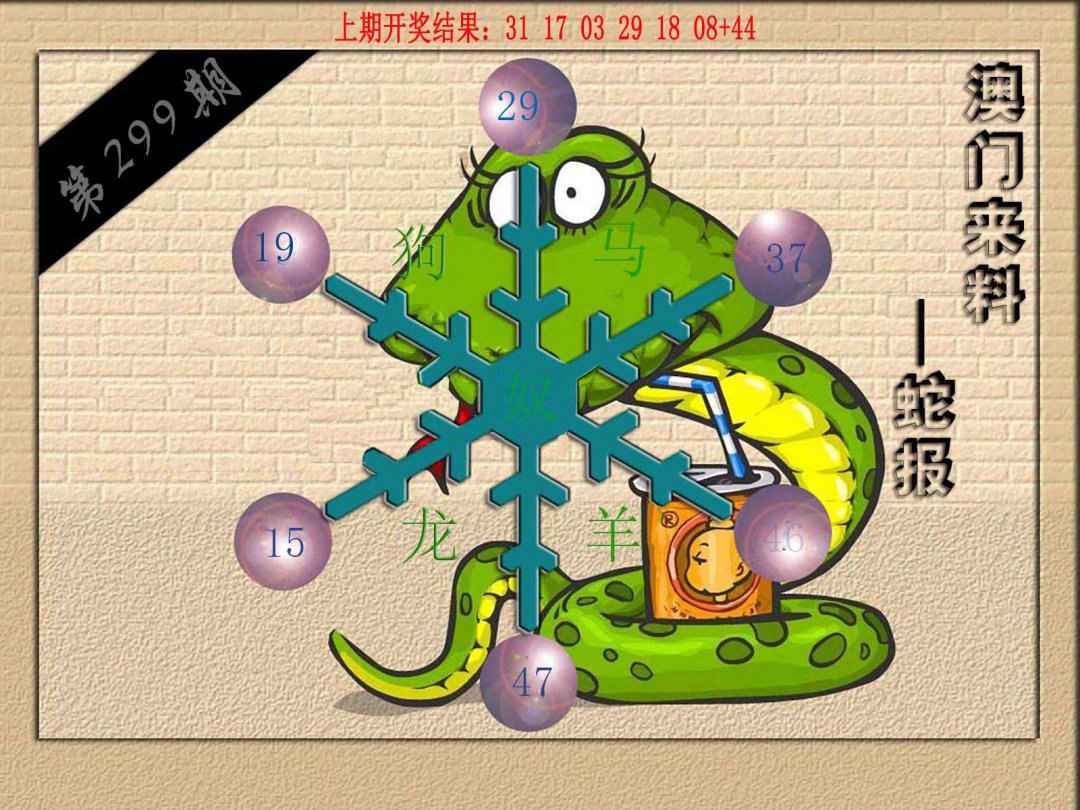 (来料)蛇报-299