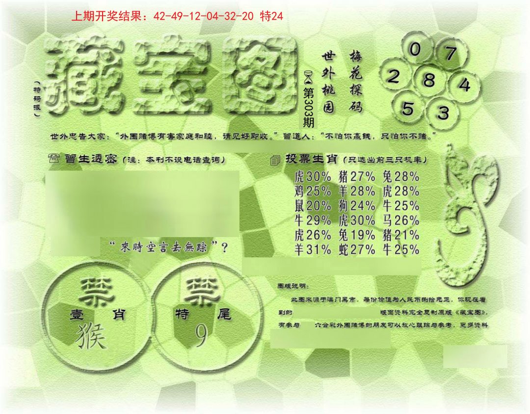 假老藏宝图-303