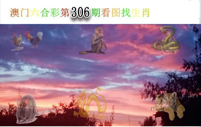 看图找生肖-306