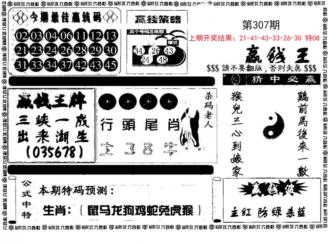 赢钱料-307