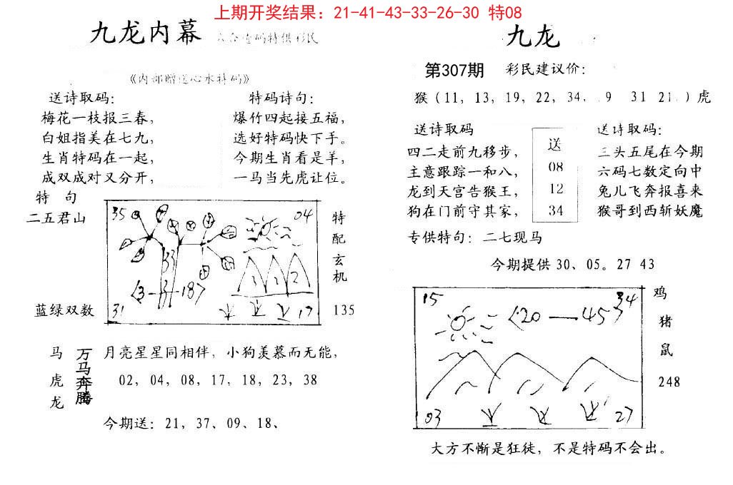 九龙内幕-307