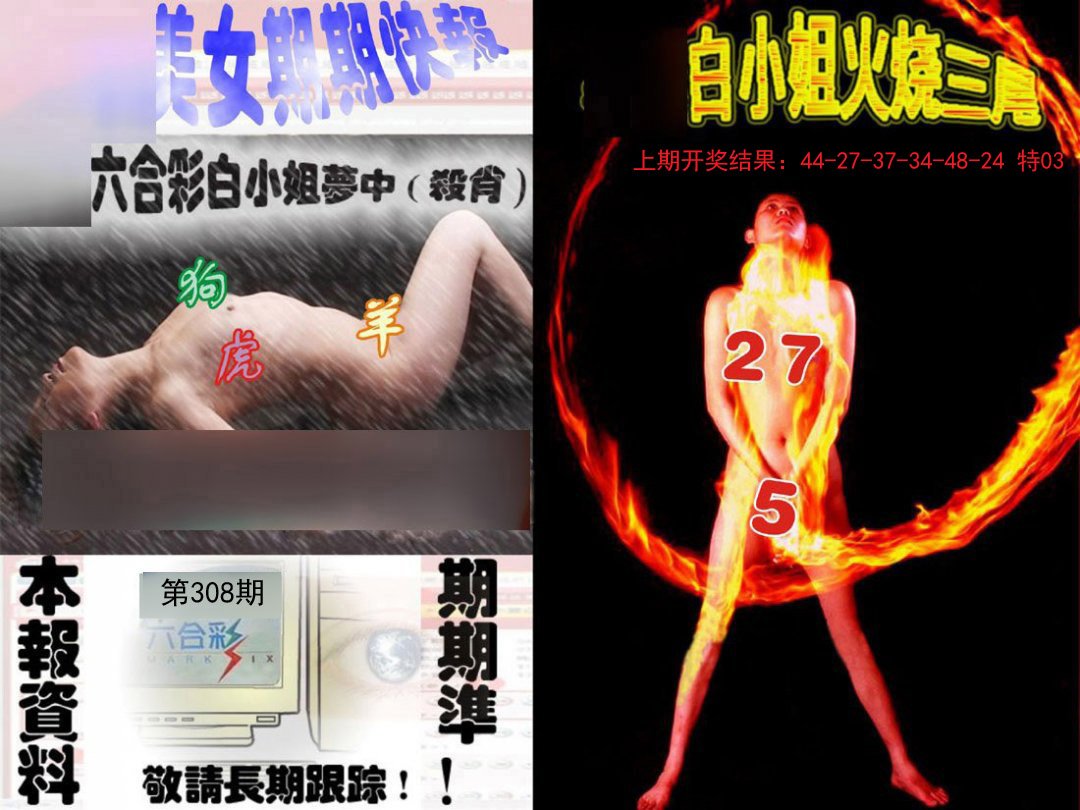 环球美女特码报-308