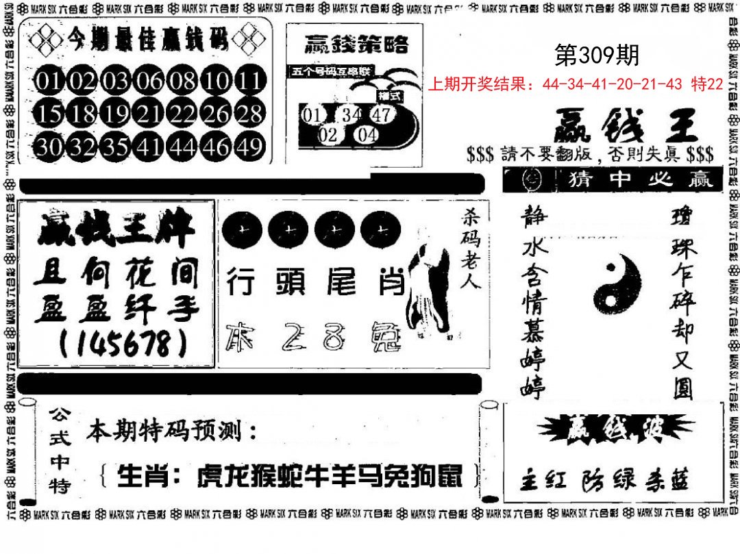 赢钱料-309