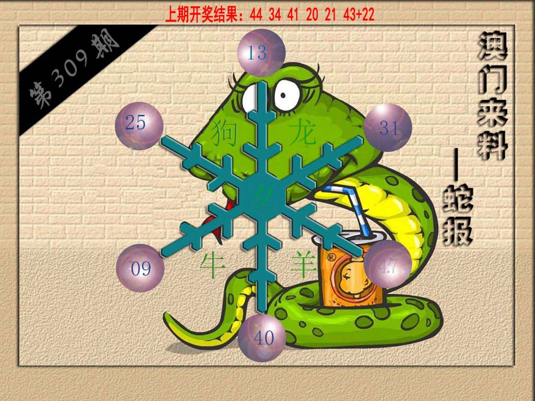 (来料)蛇报-309