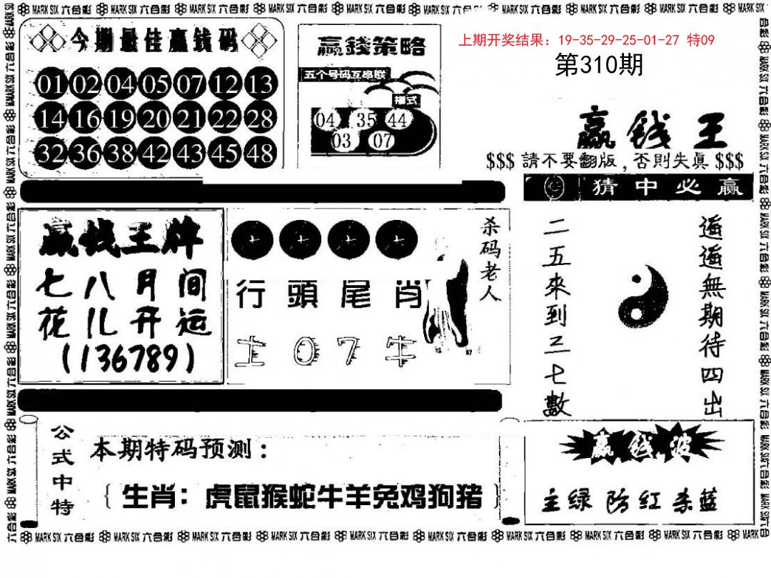 赢钱料-310