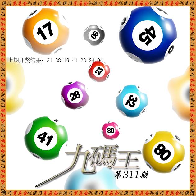 九码王-311