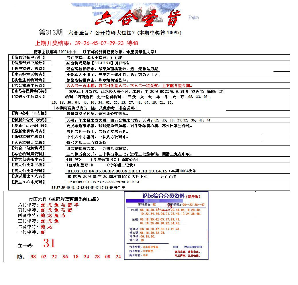 六合圣旨-313