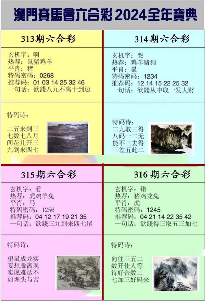 澳门挂牌宝典-313