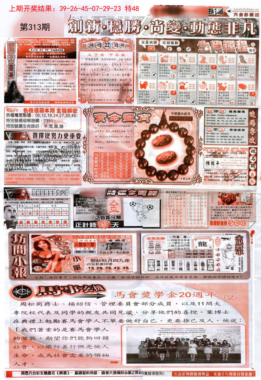 新六合精选C-313