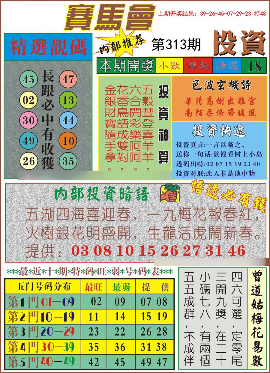 九龙投资-313