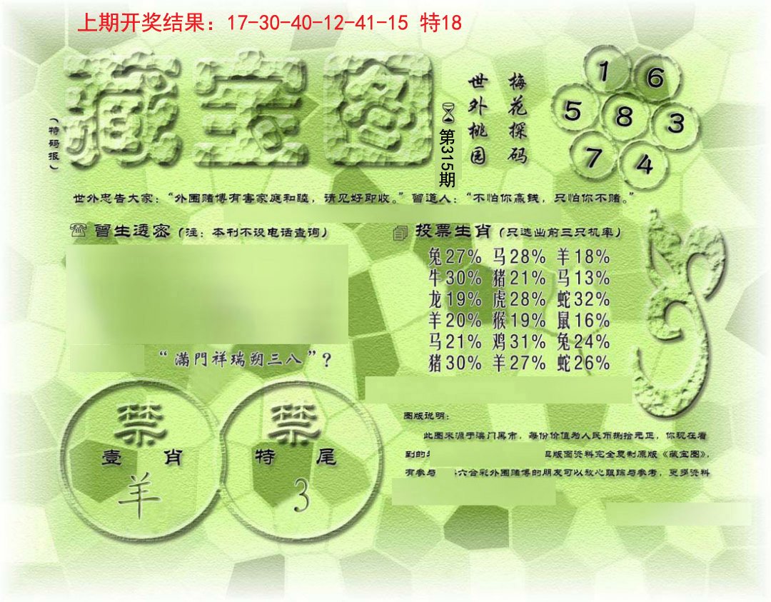 假老藏宝图-315