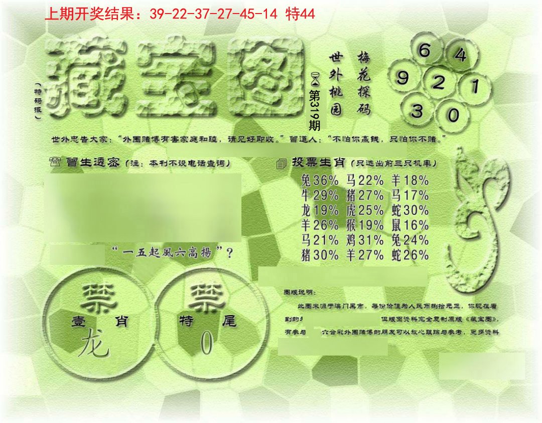 假老藏宝图-319