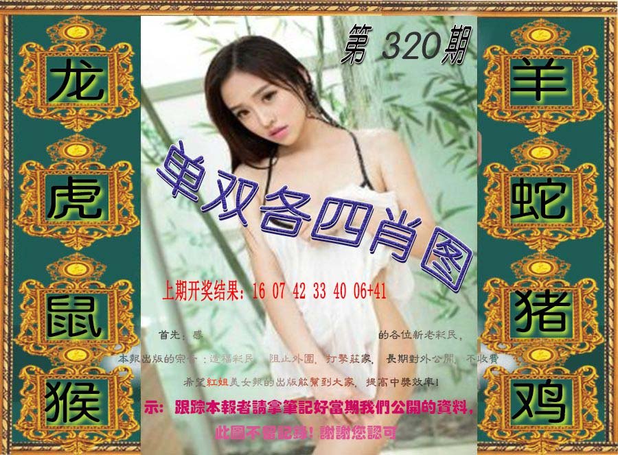 单双各四肖图-320