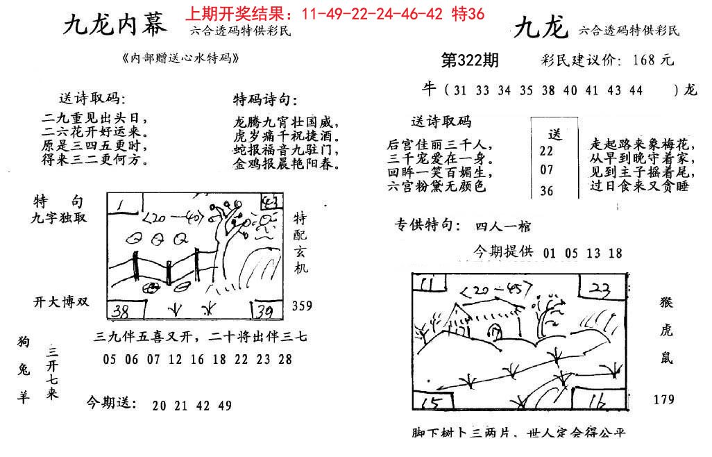 九龙内幕-322