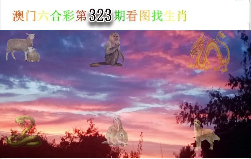 看图找生肖-323