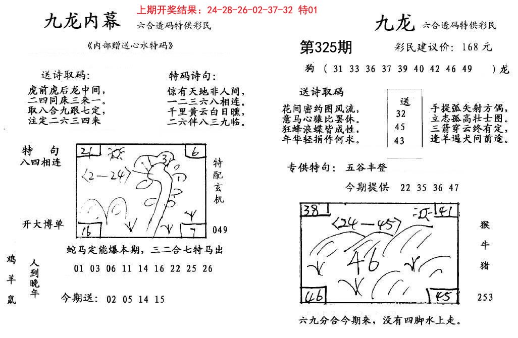 九龙内幕-325